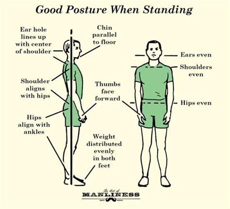 Monarch Bearing: The Ultimate Guide to Flawless Posture and Grace