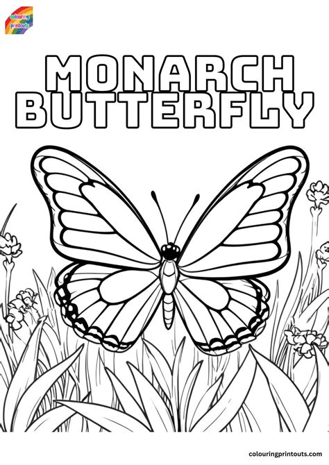 Monarch Butterfly Coloring Shee