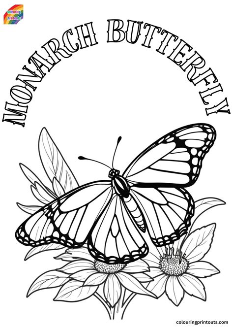 My Little Pony Coloring Pages