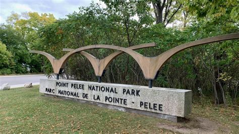 Monarch butterflies in Point Pelee attract local residents CTV …