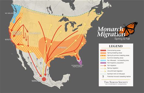 September 13, 2022. COLUMBUS, Ohio – Eastern monarch butterflies are now flying through Ohio on their way from summer breeding areas to overwintering sites in Mexico, according to the Ohio Department of Natural Resources (ODNR) Division of Wildlife. Monarchs may travel 50 to 100 miles per day, making this one of the most impressive migrations .... 