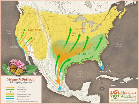 Monarch watch map. Learn more and order tags at Monarch Watch Symposium Presentations Full length presentations by monarch researchers and conservationists (including 1st lady Mrs. Laura Bush) from the 2017 Texan by Nature South-Central Monarch Symposium. 
