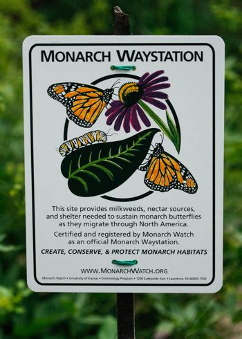 Monarch waystation sign. Things To Know About Monarch waystation sign. 