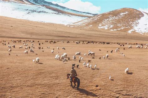 Mongolia Travel: 19x Why You Must Visit Mongolia - Once …