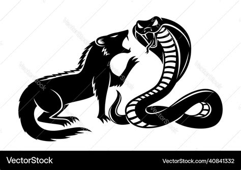 Mongoose and cobra Royalty Free Vector Image VectorStock