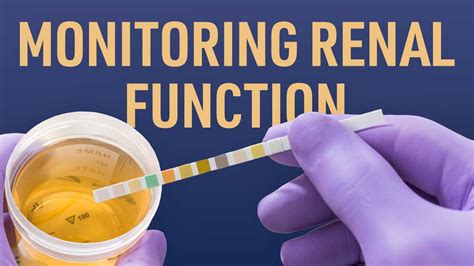 Monitoring renal function during chemotherapy - PubMed