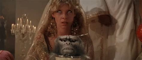 Monkey Brains GIFs - Find & Share on GIPHY