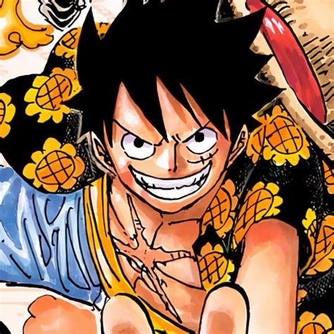 Monkey D. Luffy/Abilities and Powers One Piece Wiki Fandom