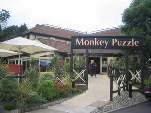 Monkey Puzzle, Chessington, Surrey