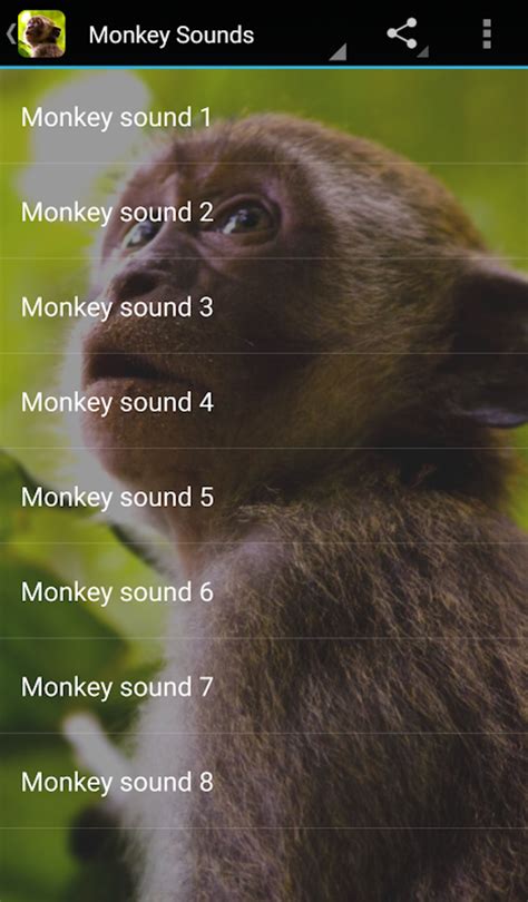 Monkey Sound APK Download for Android 