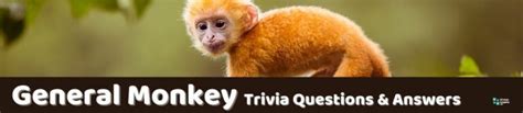 Monkey Trivia Questions And Answers
