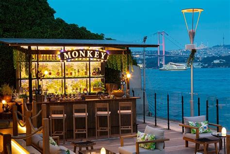 Monkey istanbul