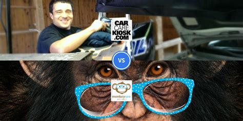 Monkeys see competitors