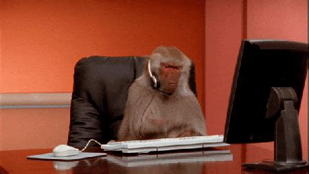 Monkeys working gif. 