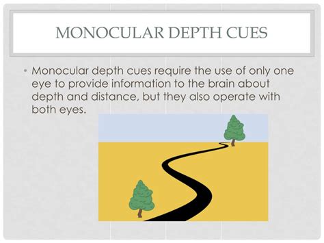 Monocular cues psychology. Measurements were made for binocular and monocular viewing. Thresholds for binocular viewing were quite small at all distances (Weber fractions less than 1% at 2° spacing and less than 4% at 10° spacing). Thresholds for monocular viewing were higher than those for binocular viewing out to distances of 15–20 m, beyond which they were the same. 