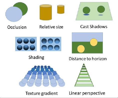 The processes include use of both monocular and binocular cues. Monocular cues. Monocular cues, those used when looking at objects with one eye closed, help an individual to form a three‐dimensional concept of the stimulus object. Such cues include size of the stimulus. interposition, when one stimulus blocks the image of another. 
