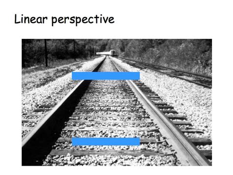 The monocular depth cue of linear perspective leads us to believe that, given two similar objects, the distant one can only cast the same size retinal image as the closer object if it is larger. The topmost bar therefore appears longer. …. 