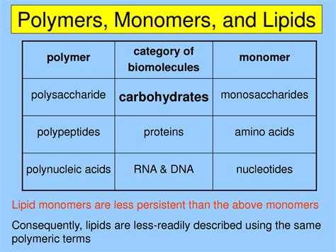 Monomers, Intermediates, and Base Polymers Datasheets