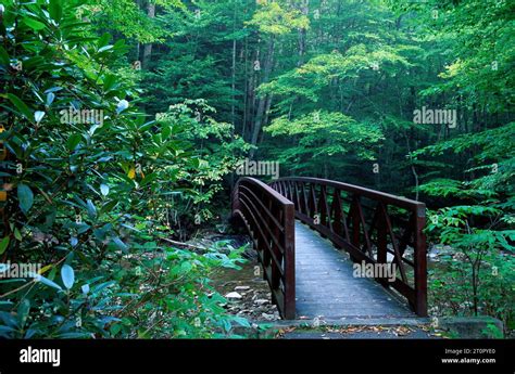 Monongahela National Forest - Trails along the Highland Scenic Highway