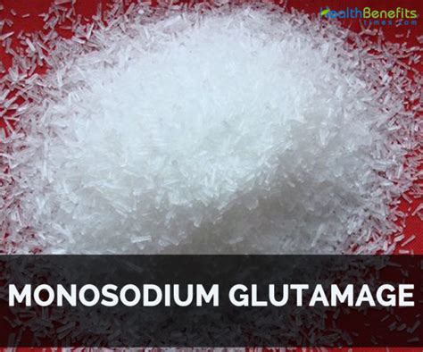 Monosodyum glutamat kullanım miktarı