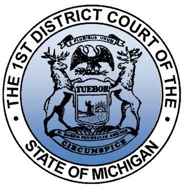 Some Michigan District Courts allow you to pay civil infracti