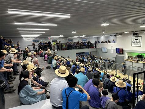 Monroe livestock auction nc. Things To Know About Monroe livestock auction nc. 