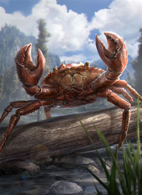 Monster crab. Ucans are giant hostile crab-like Monsters that posses a few peculiar traits. Their thick, unruly fur mainly serves the purposes of heat insulation and protection against the elements, allowing them to adapt to all types of different environments. Their ancient fossils can be found all across the world, including the snowy arctic and the vast blazing deserts. Their exoskeletons are extremely ... 