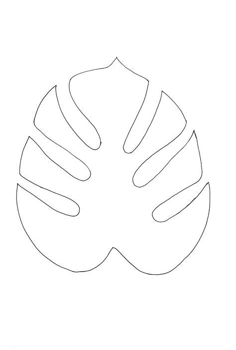 Monstera Leaf Template