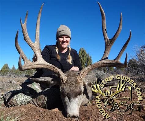 MonsterMuleys.com. @MonsterMuleys 3.66K subscribers 251 videos. It's all about Western Big Game Hunting! Mule deer, elk, antelope and much more. I'm personally a ….