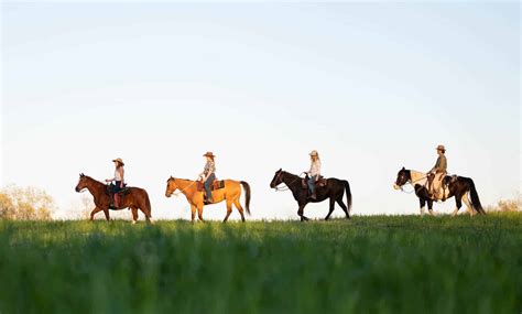 Montana Equine Retreat Equine Therapy - Onsite Workshops