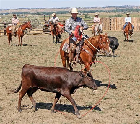 Montana Roping - Joe Wolter