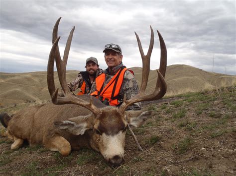 Montana hunt draw results. Things To Know About Montana hunt draw results. 