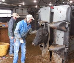 SMITH 6 BAR S LIVESTOCK [ GLEN MT ] 7: 1351: $117.75: C: MONTANA RANCH, LLC [ BIG FORK MT ] 1: ... Montana Livestock Auction P.O. Box 125 100 Cattle Drive Ramsay, MT .... 