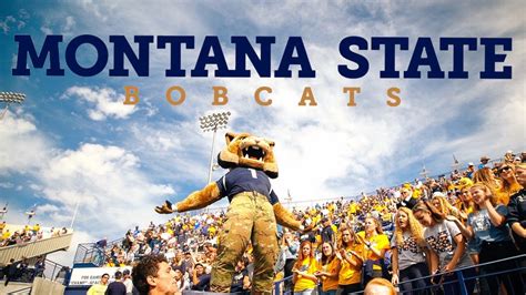 Montana state bobcat football. BOZEMAN — Montana State used a strong second-half performance to get past Portland State 38-22 last week. The win helped propel the Bobcats to … 