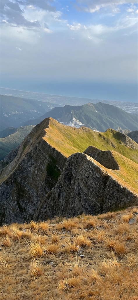 Profile picture of Monte West