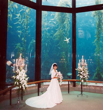 Monterey Bay Aquarium Wedding