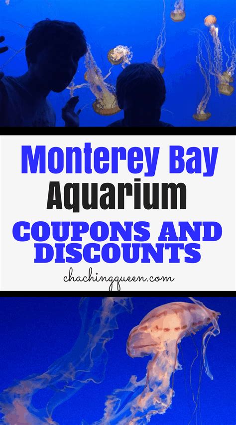 Monterey aquarium discount tickets. The support we get from businesses is vital to everything we do. Contributions and support from businesses like yours allow us to offer free Aquarium visits to over 80,000 schoolchildren each year. Business donors also help fund our innovative education programs, compelling new exhibits, and critical conservation research. 