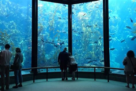 Monterey bay aquarium admission. 