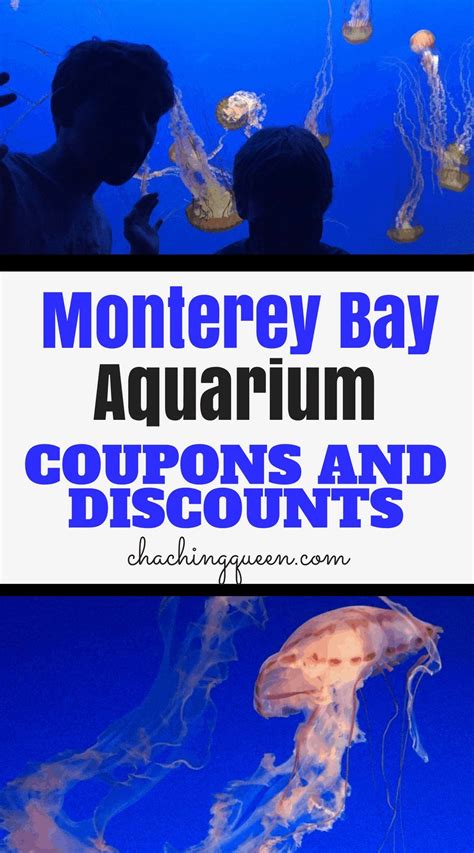 Monterey bay aquarium discount. Things To Know About Monterey bay aquarium discount. 