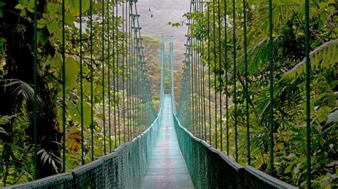 Monteverde reservations. Admission to Monteverde Cloud Forest costs $25 per adult and $12 per child ages 6 to 12. Parking costs $5. Note that guided tours cost extra. The reserve welcomes visitors every day from 7 a.m. to ... 