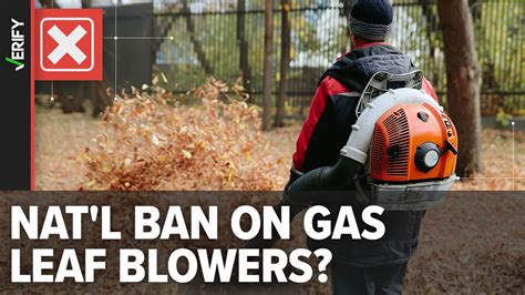 Montgomery County leaf blower ban goes silent — for now