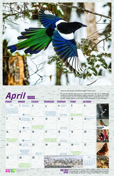 Monthly Wildlife Calendar : Friends of Sax-Zim Bog