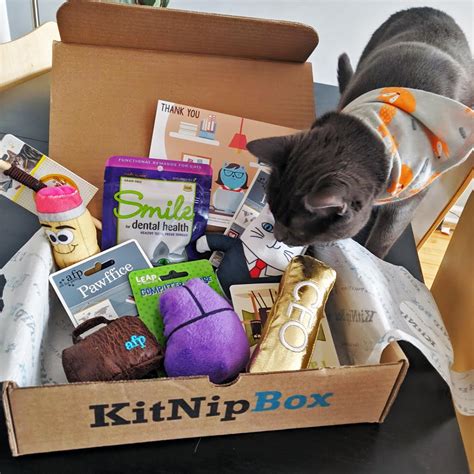 Monthly cat box. Every KitNipBox includes toys made with premium quality catnip, plus unique items designed to keep your cat happy, healthy, and fit. Boxes include fun cat toys, delicious treats, must-have accessories, health and hygiene products, innovative new gadgets, and awesome surprises! Made By Cat People For Cats! 