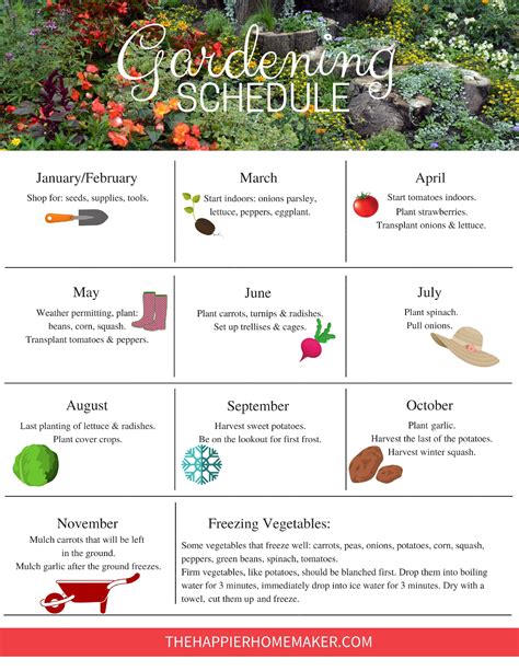 Monthly gardening calendar: jobs to do through the year