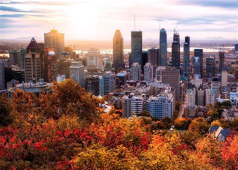 Montreal is now home to the world