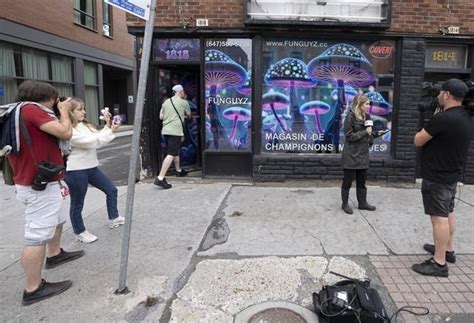 Montreal police raid illegal magic mushroom store on opening day, arrest four people