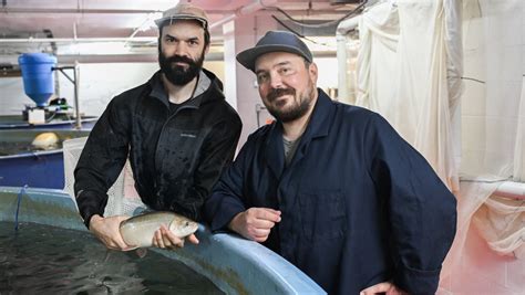 Montreal urban fish farmers say their Arctic char cuts greenhouse gases and waste