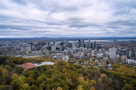 Montreal wikipedia. Montréal ( AFI: /mɔ̃ʁeal/ ), in inglese Montreal ( /mʌntriːˈɒl/ ), è la più popolosa città della provincia del Québec nonché la seconda più popolosa città del Canada . È anche la più grande città francofona del continente americano . È una città completamente insulare, in quanto sorge sull' arcipelago Hochelaga, gruppo di ... 