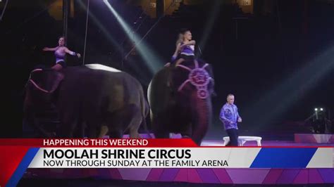 Moolah Shrine Circus taking place this weekend at The Family Arena