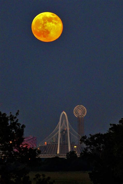 Moon in texas. Dallas. Dallas is a lively city in North Texas that has a unique blend of southern hospitality, urban sophistication, and Texan charm, making it a perfect destination for a babymoon. It is popular for its rich history, diverse cultural scene, and world-class shopping, which makes it an excellent choice for any couple. 